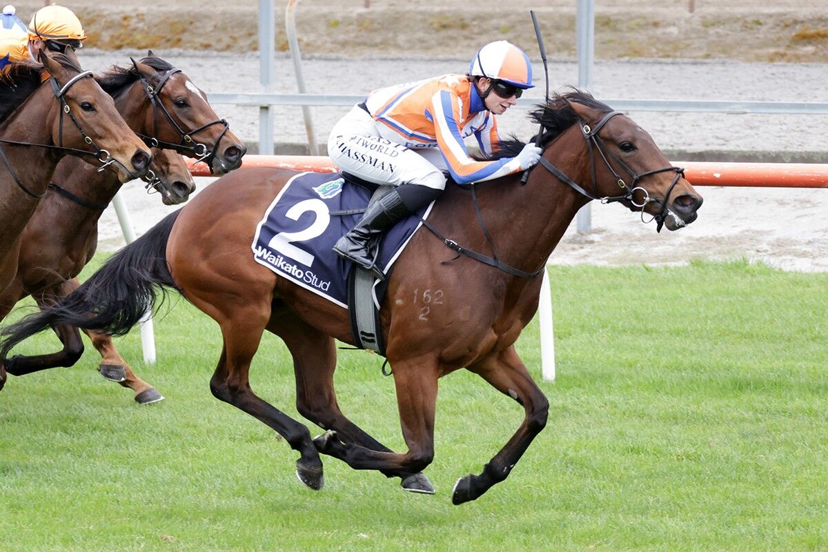 WINNER: Home Track Treble - Swiss Queen Rules