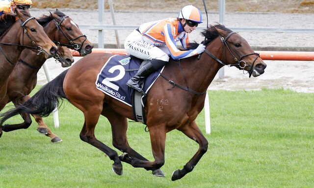 WINNER: Home Track Treble - Swiss Queen Rules