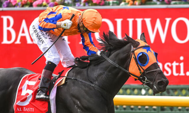 Vale Savabeel - A Special Connection
