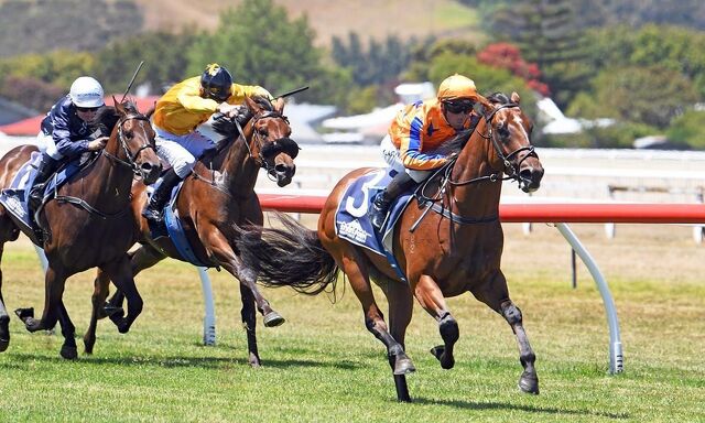 Exciting Te Akau Summer Prospects Beckon 