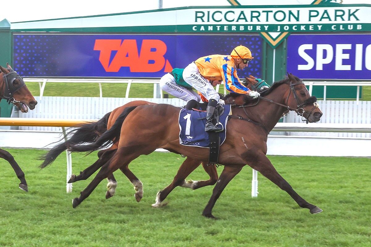 Te Akau North South Saturday Preview