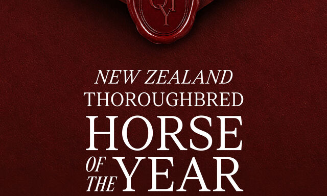 Te Akau Horse of the Year Nominees