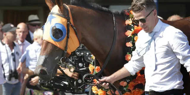 Following Famous Footsteps | News - Te Akau Racing