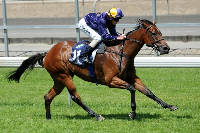 Angelica's Impressive Debut | News - Te Akau Racing