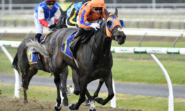 Te Akau Trans Tasman Midweek Preview