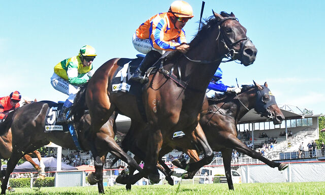 Te Akau Timaru Sunday Preview