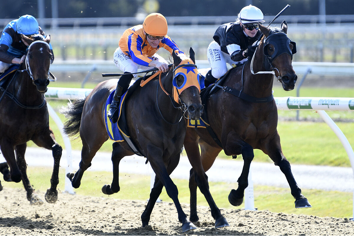 Te Akau Cambridge Midweek Preview