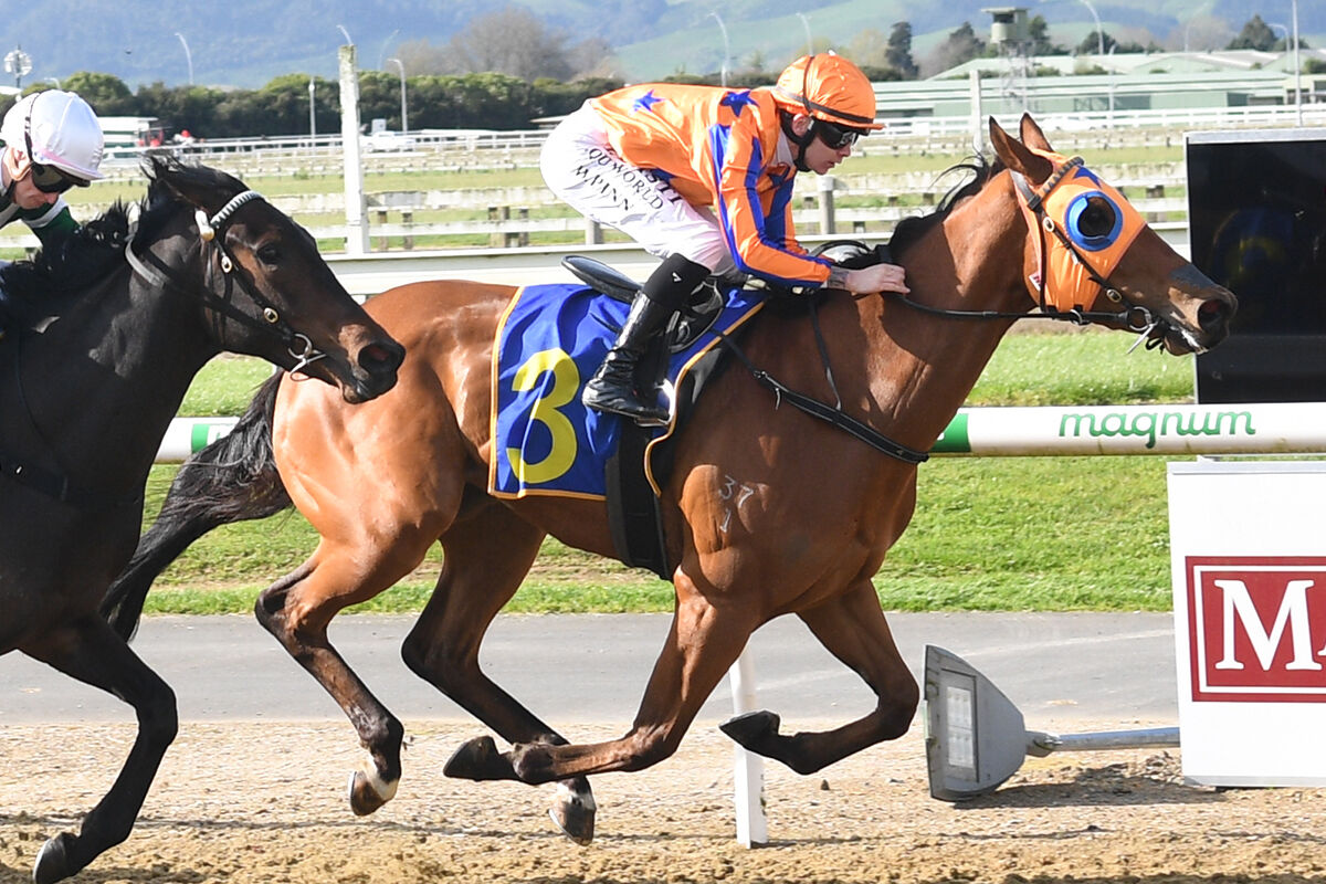 Te Akau Trans Tasman Midweek Preview