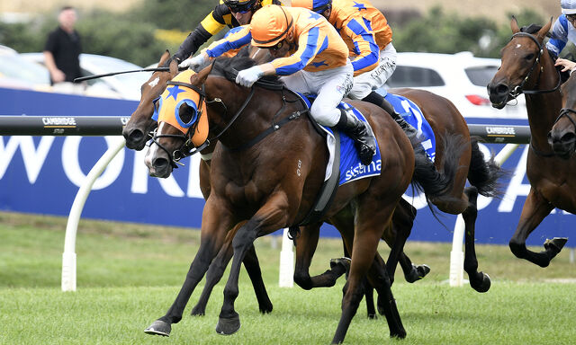 From 1986 to 2025 – that’s 100 Group One wins for Te Akau Racing!