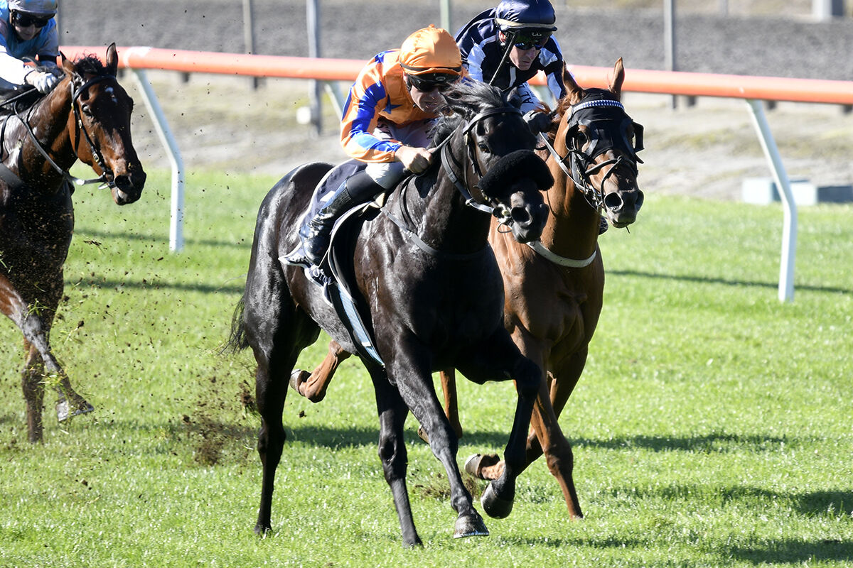 Te Akau Trans Tasman Sunday Preview