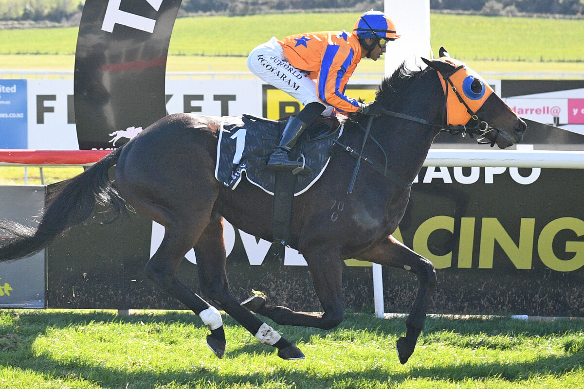 Te Akau Trans Tasman Saturday Preview
