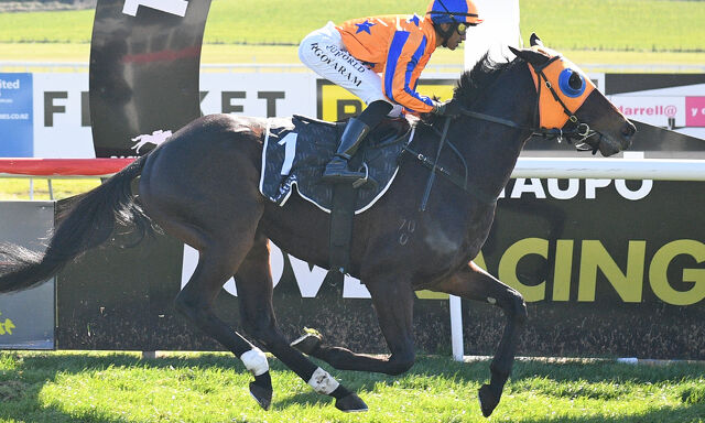 Te Akau Trans Tasman Saturday Preview