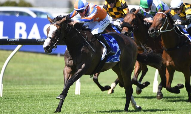 Season of Success: Lara Runs Riot