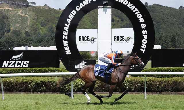 Season of Success: Lara Lengths Ahead