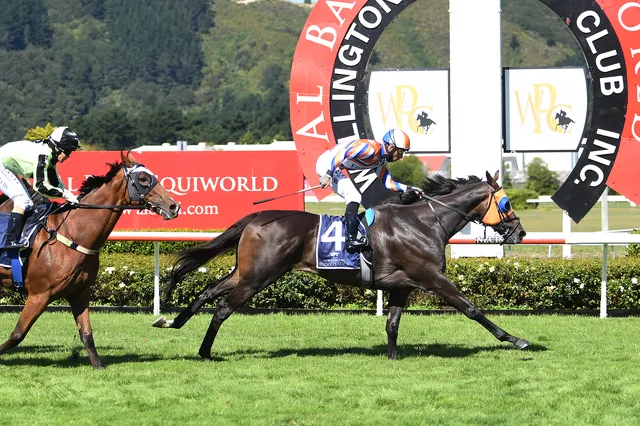 Leaderboard a Listed Wellington Winner | News - Te Akau Racing
