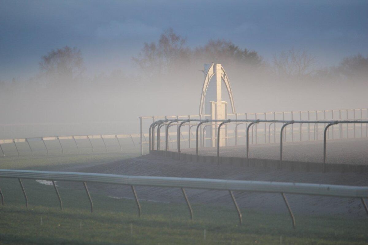Te Akau Trans Tasman Tuesday Trackwork