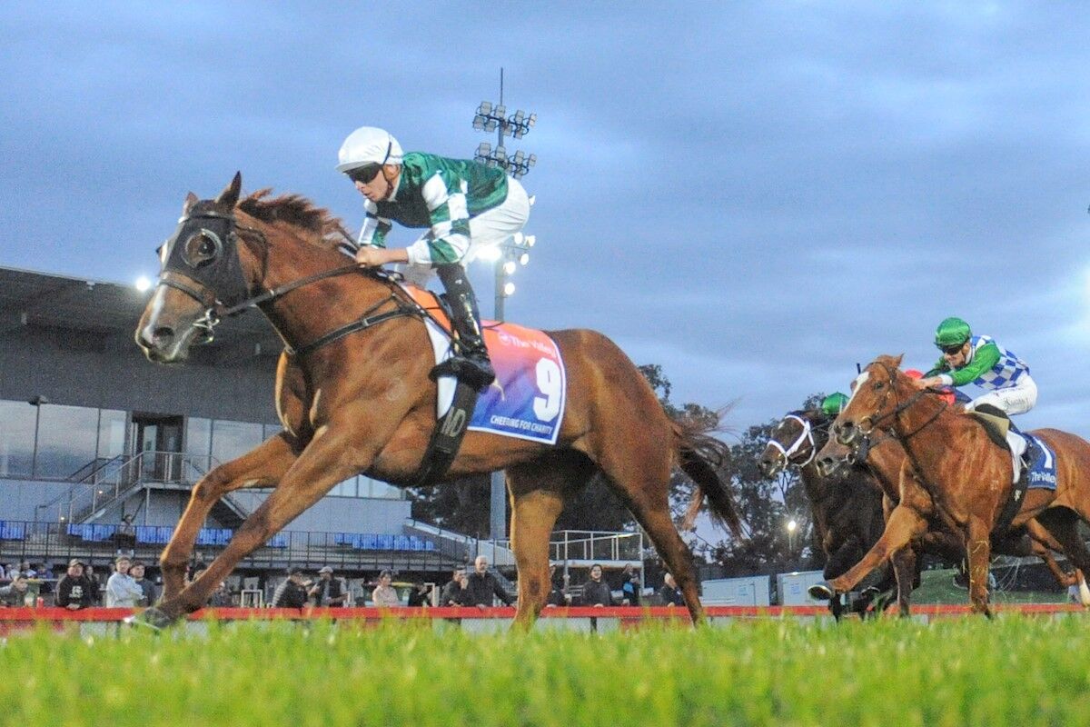 Te Akau Bendigo Midweek Preview