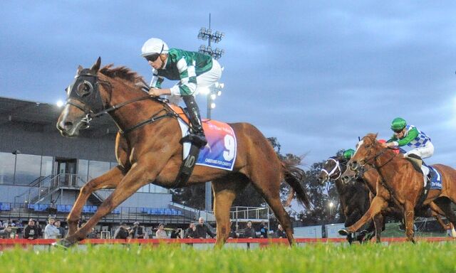 Te Akau Bendigo Midweek Preview