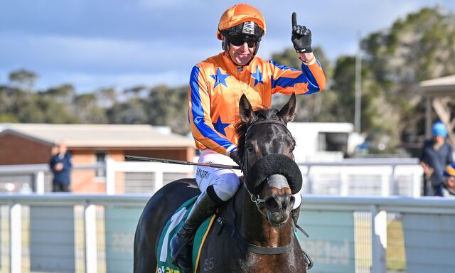 Te Akau Sandown Sunday Preview