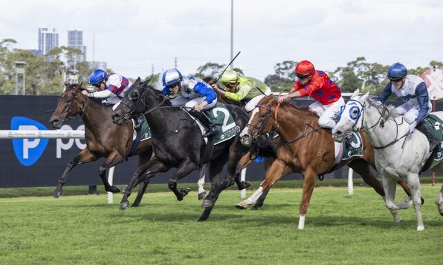 Season of Success: Belle Boom - G1 Sydney 