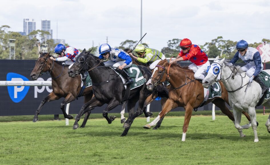 Season of Success: Belle Boom - G1 Sydney