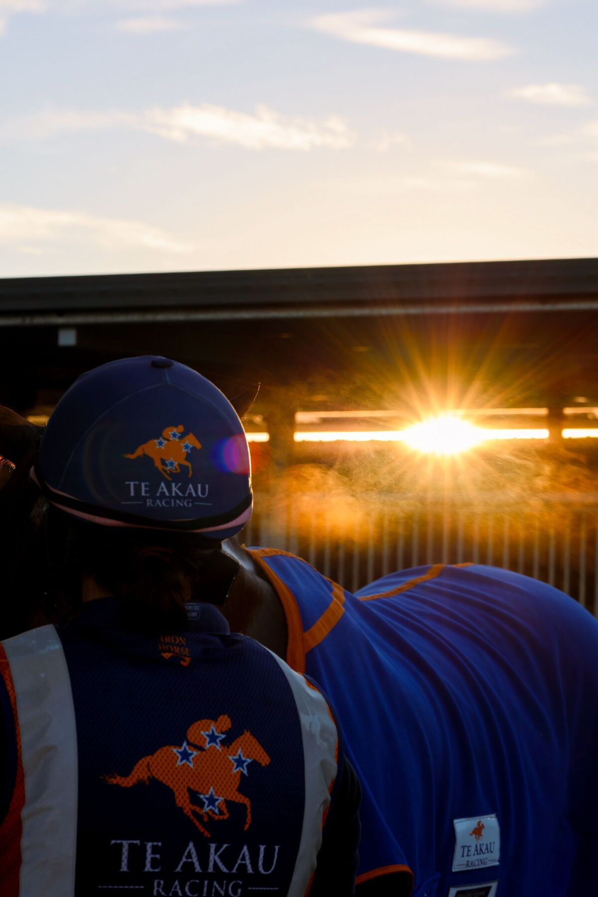 Te Akau Trans Tasman Tuesday Trackwork