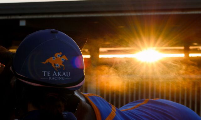 Te Akau Trans Tasman Tuesday Trackwork