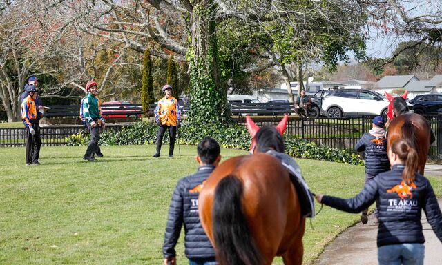 Te Akau Tuesday Update