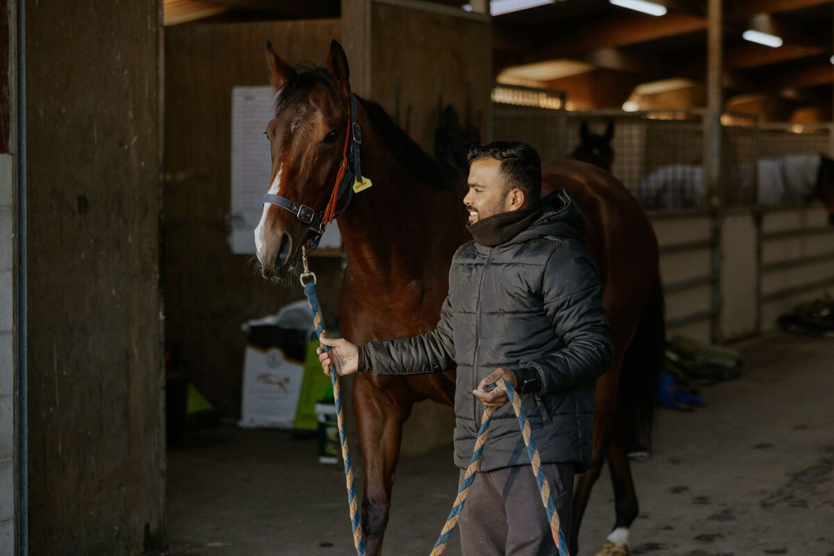 Te Akau Trans Tasman Saturday Trackwork