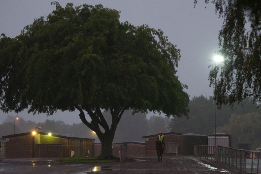 Te Akau North South Thursday Trackwork