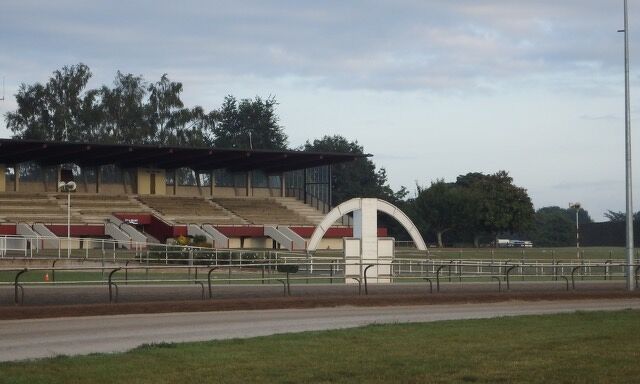 Te Akau Trans Tasman Thursday Trackwork