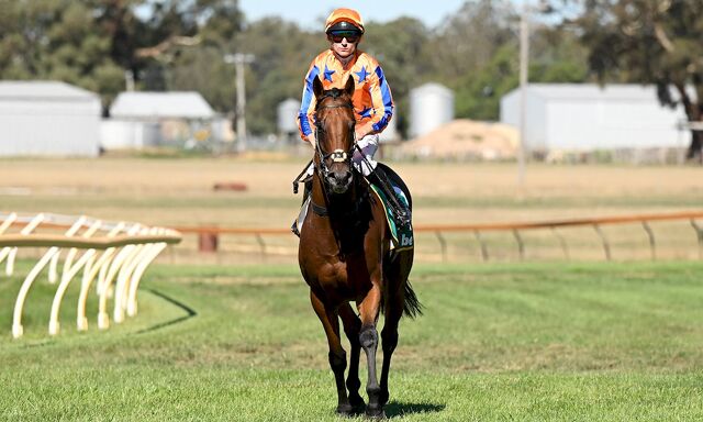 Te Akau Victoria Sunday Preview