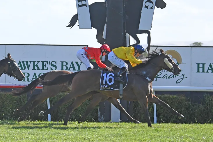 Recent Winner - Te Akau Racing