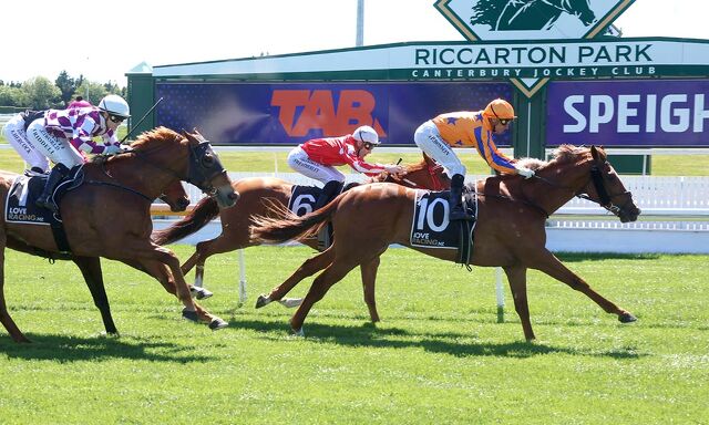 Te Akau Trans Tasman Midweek Preview 
