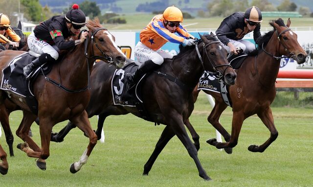 7 WINS - 48 HOURS: Petite Perfection