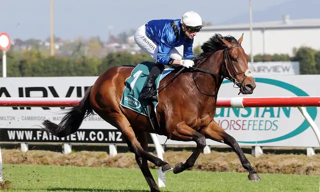 Te Akau Te Aroha King's Birthday Monday Preview