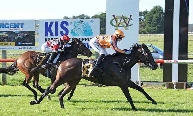 Te Akau Trans Tasman Saturday Preview