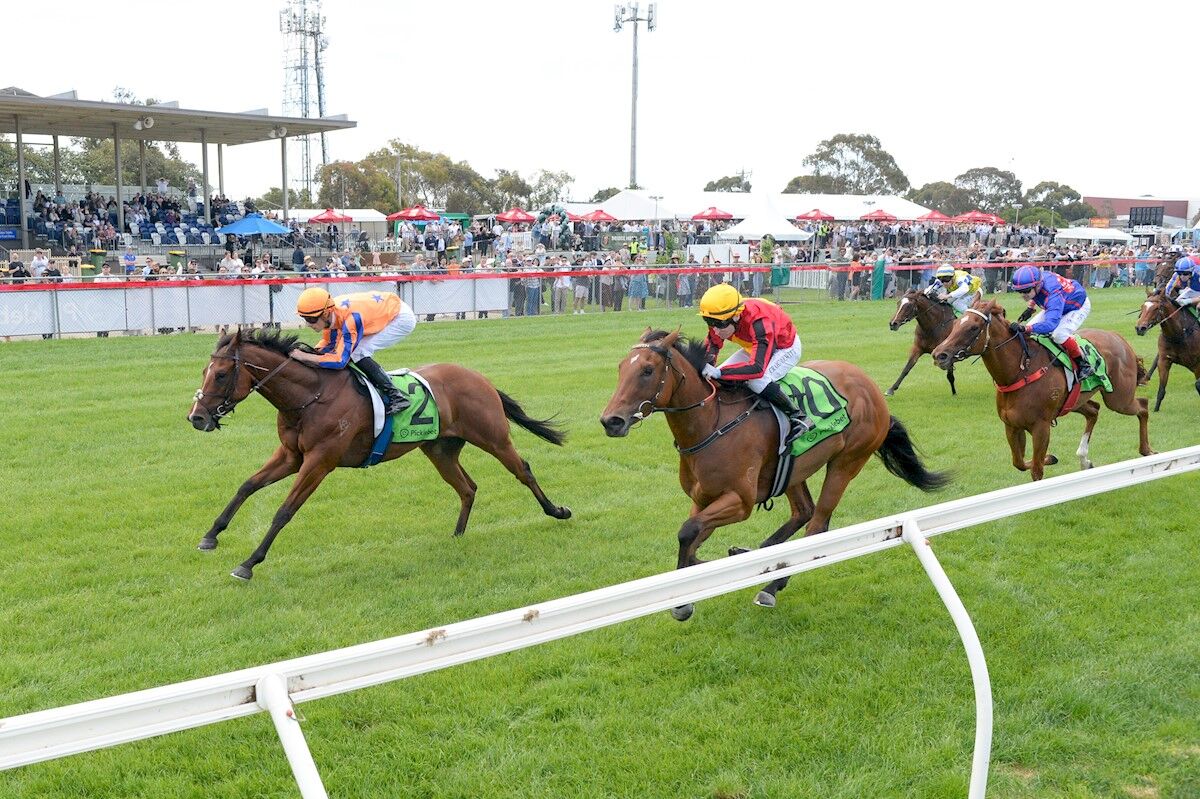 Te Akau Kilmore Monday Preview