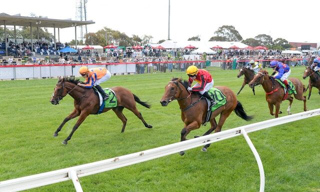 Te Akau Kilmore Monday Preview 