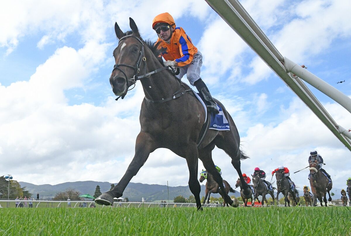 Te Akau Talent Gears Up for New Season