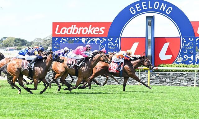 TRANS TASMAN WINNERS: A Royal Performance