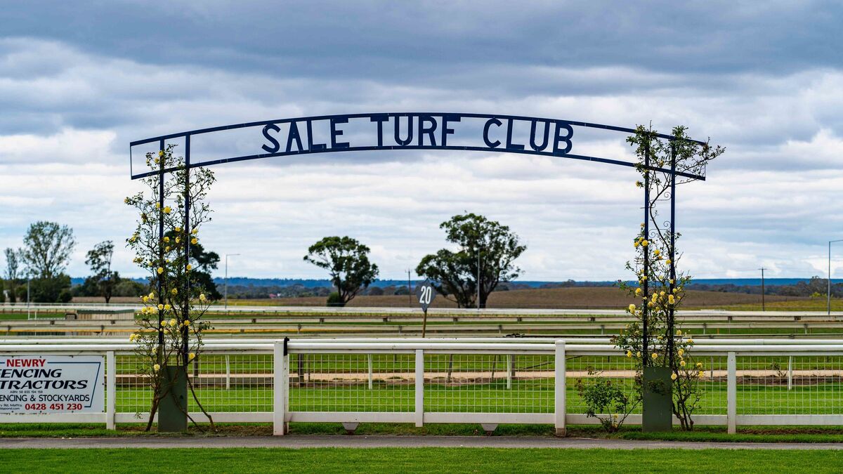 Te Akau Sale Friday Preview