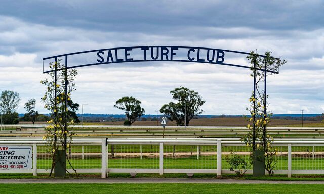 Te Akau Sale Friday Preview