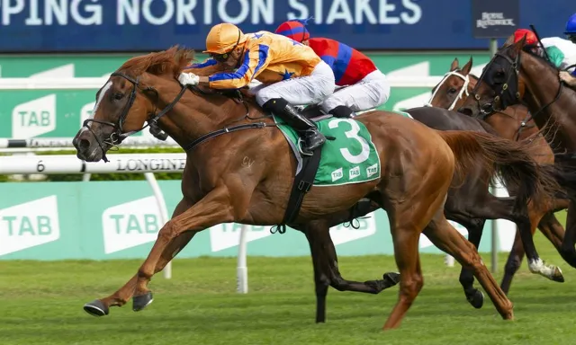 Shark Shows His Brilliance on the Clock in Stunning Victory | News - Te ...