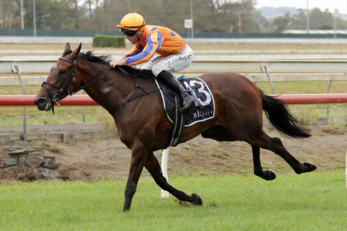 Te Akau Trans Tasman Friday Preview