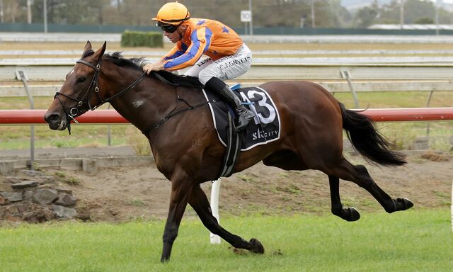 Te Akau Trans Tasman Friday Preview