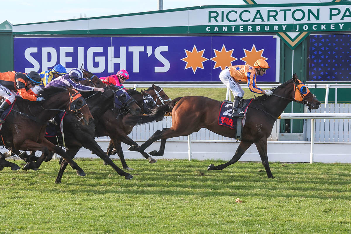 Te Akau North South Saturday Preview