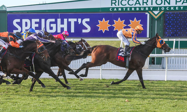 Te Akau North South Saturday Preview