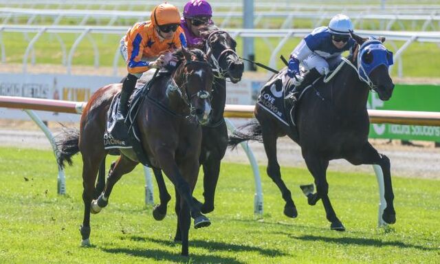 Te Akau Strikes in Riccarton 3YO Feature