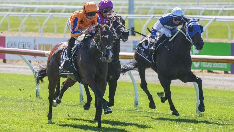 Te Akau Strikes in Riccarton 3YO Feature
